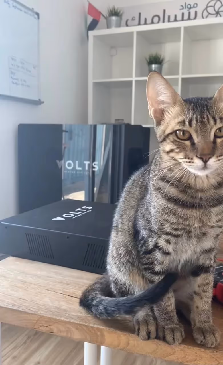 Загородный дом в Коттеджном поселке в ОАЭ - фото 1